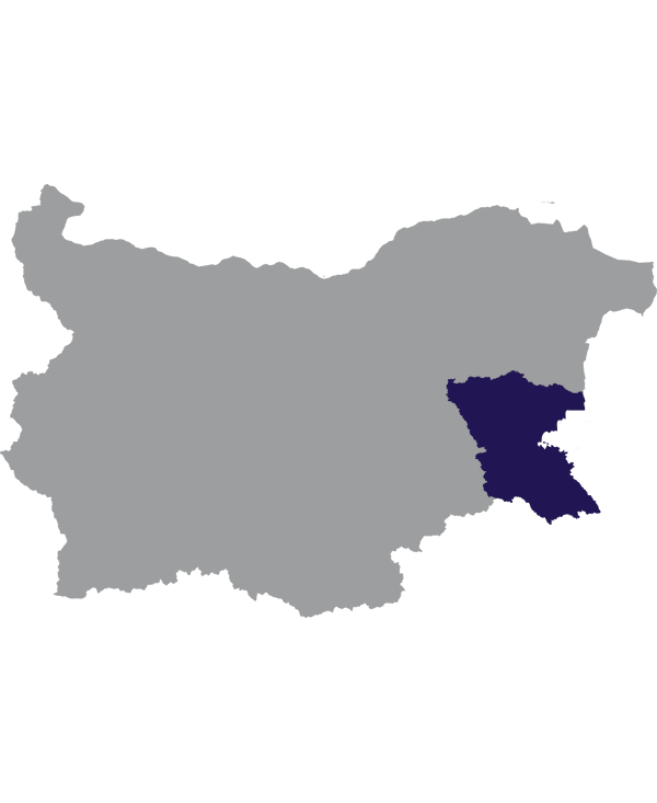 Landkaart Bulgarije grijs met oblast Boergas donkerblauw op transparante achtergrond - 600 * 733 pixels